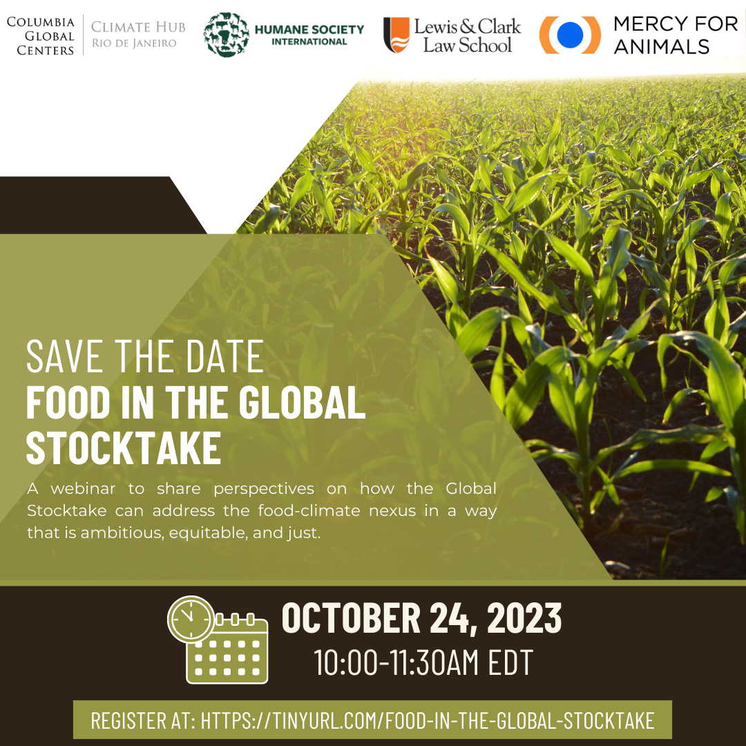 Food in the Global Stocktake