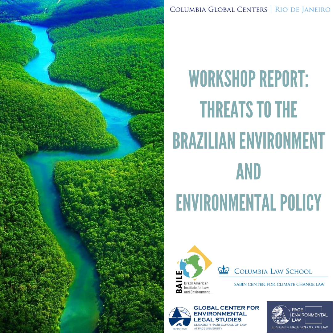 Workshop_Report_Threats to the Brazilian Environment