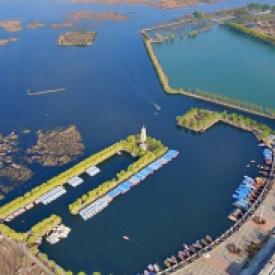 Sustainable Urbanization and Prospects for “New Area”