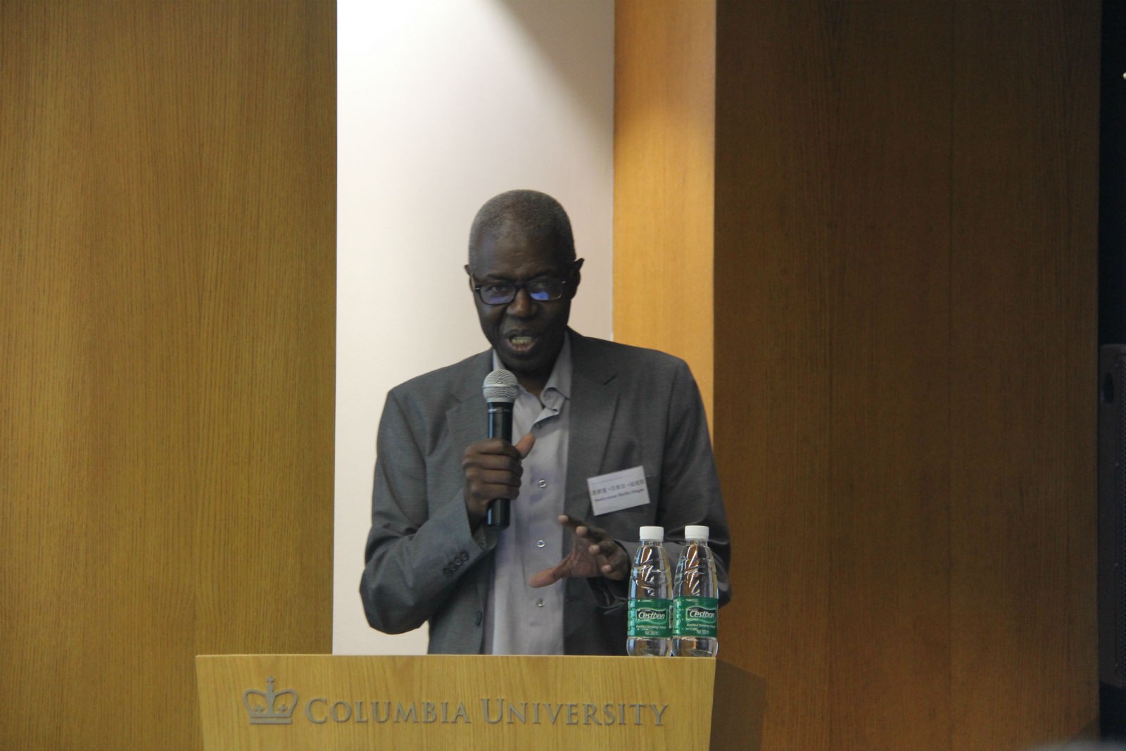 Professor Souleymane Bachir Diagne