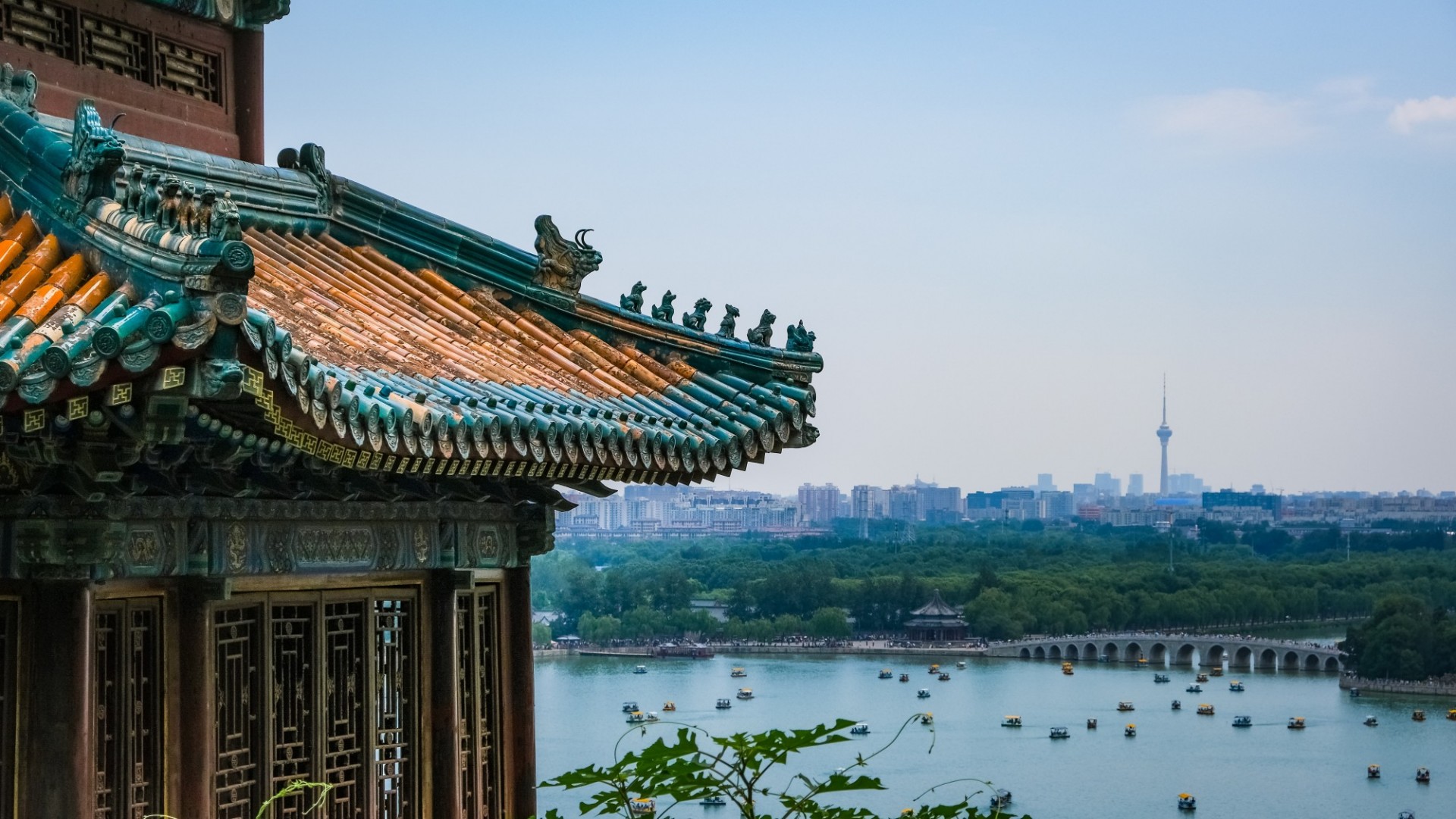Understanding the Eligibility Criteria for China Scholarships.