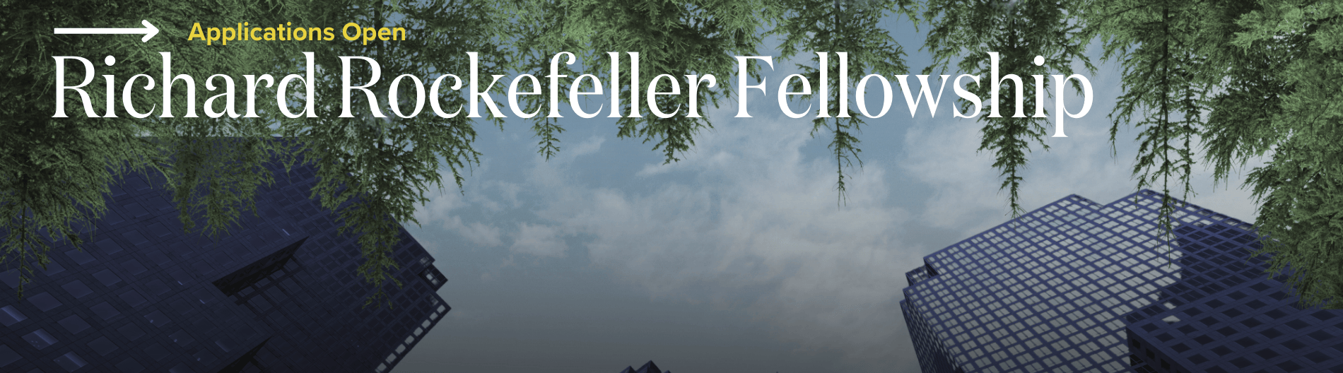 The Richard Rockefeller Fellowship