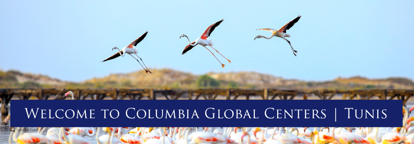 Columbia Global Centers | Tunis