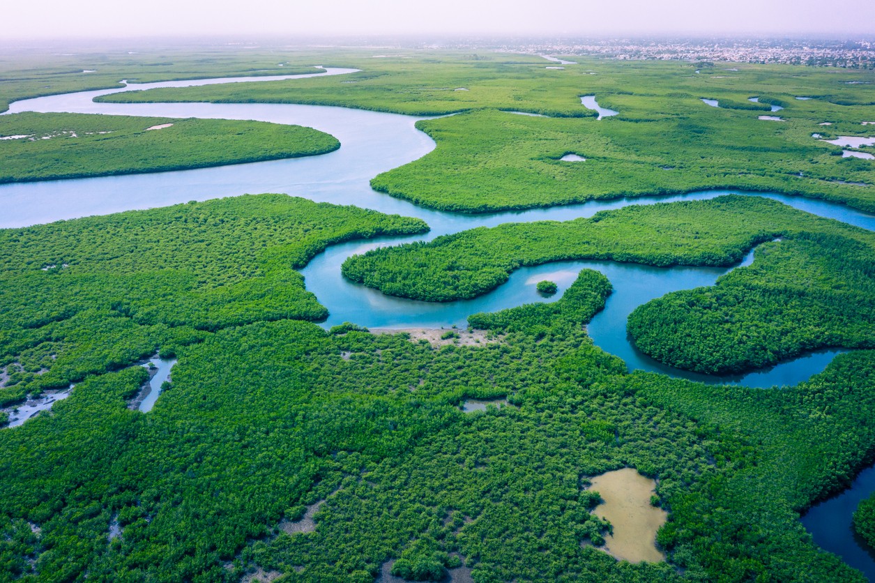 Marshland