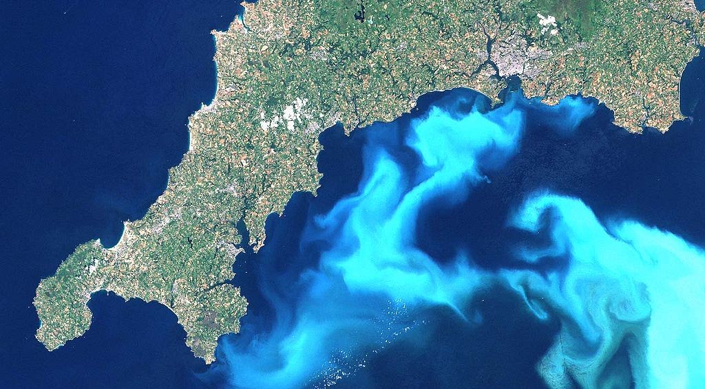 Image by NASA Bioluminescence
