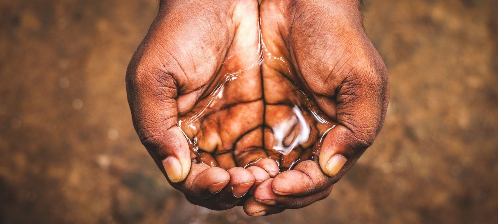 pair of hands cupping water