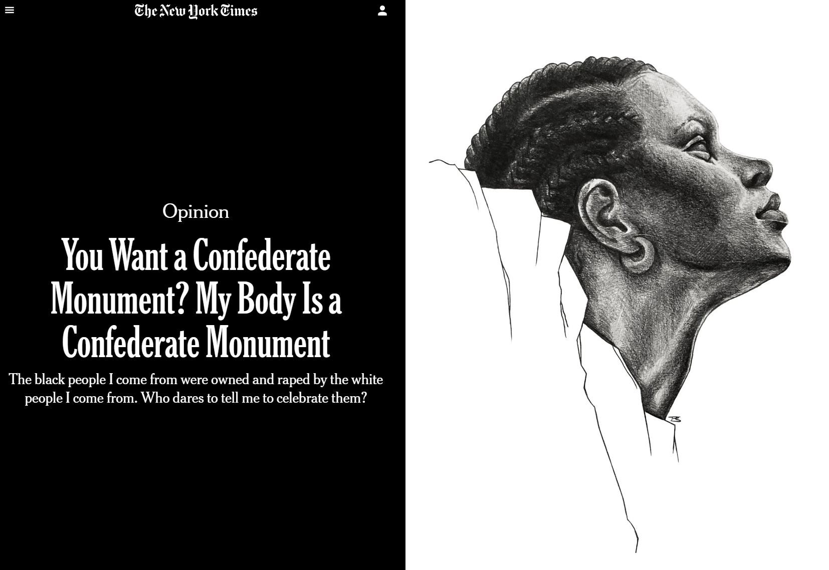 NYT article image
