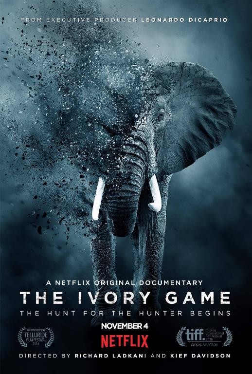 Ivory Wars