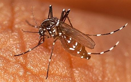 Fever, Malaria diagnosis, Community Health Worker, CHWs, Health facilities, Siaya, Kenya