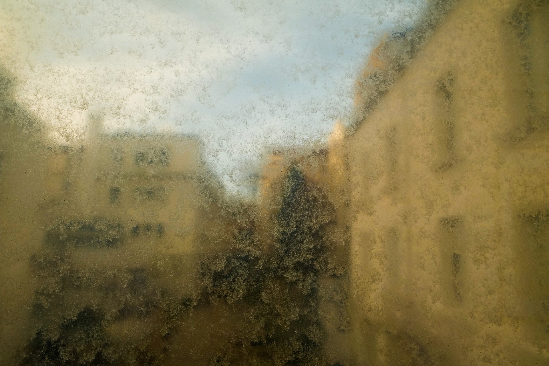 Details: Honey crystallization. Details: Honey crystallization.
