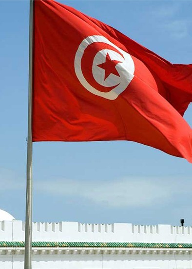 How the TC Tunisia Project Makes an Impact