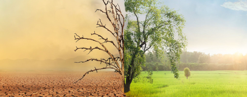 climate change
