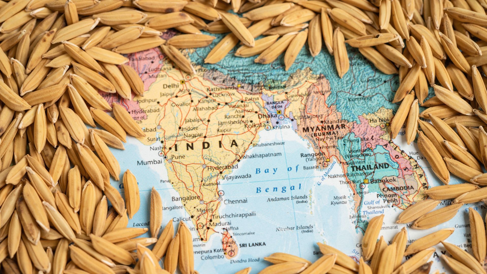 A map of India surrounded by food grains
