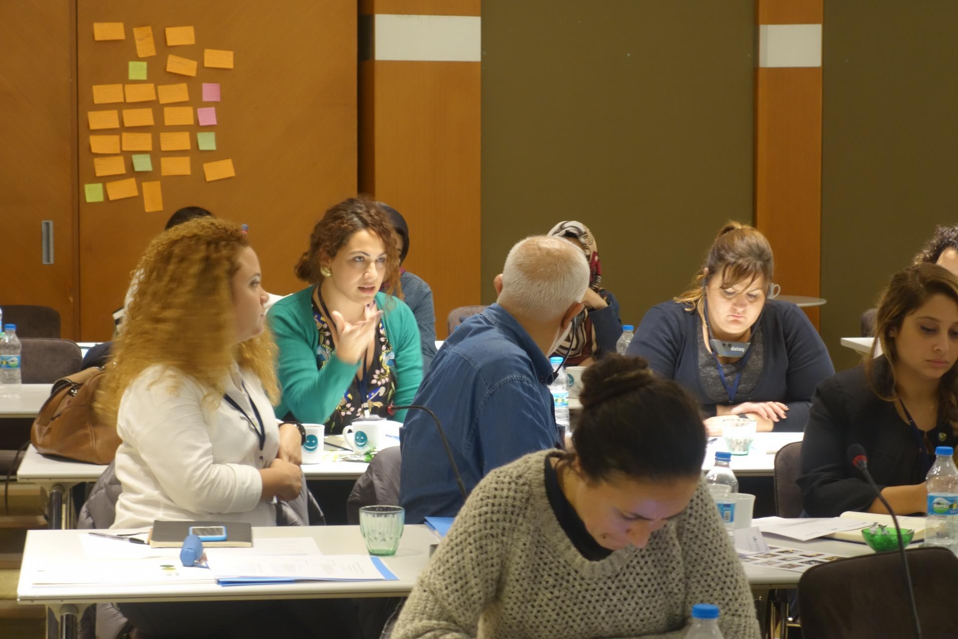 Capacity Building to Adress Refugee Health Issues