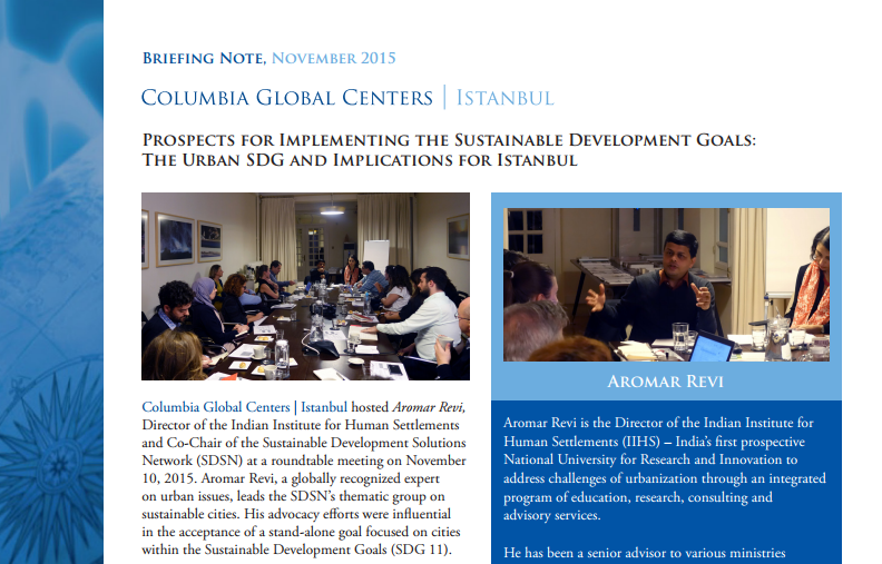 Prospects for Implementing the Sustainable Development Goals: The Urban SDG and Implications for Istanbul