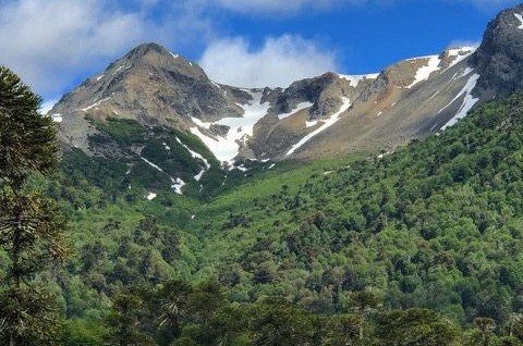 PGIF: Chile Wildfire Project