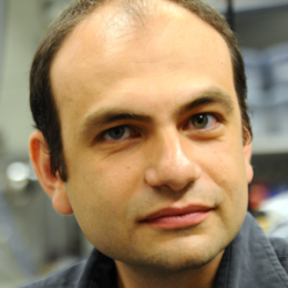 Photo of Ioannis Kymissis