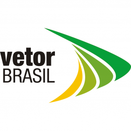 Photo of Vetor Brasil