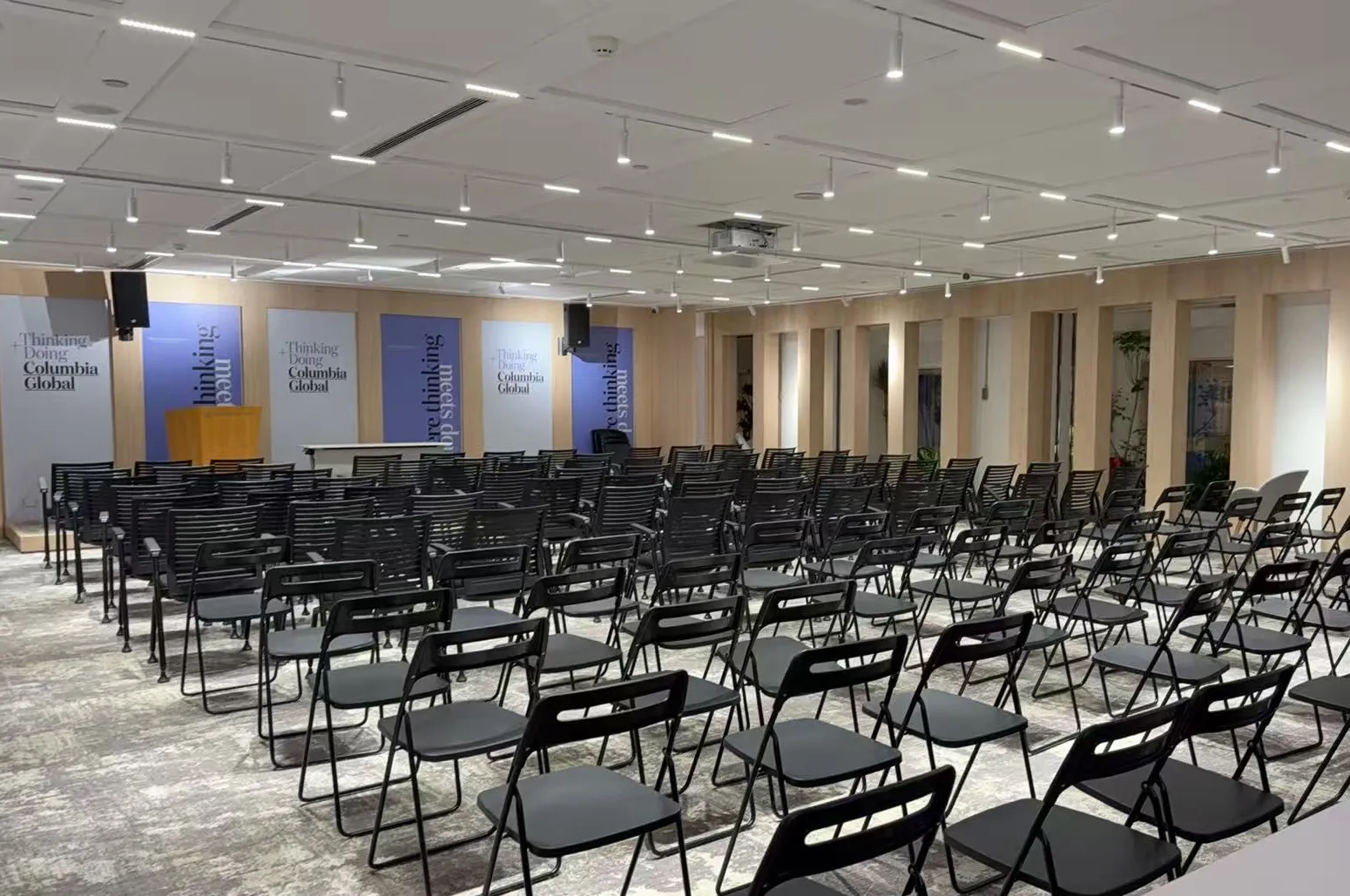 Large Multi-Functional Room