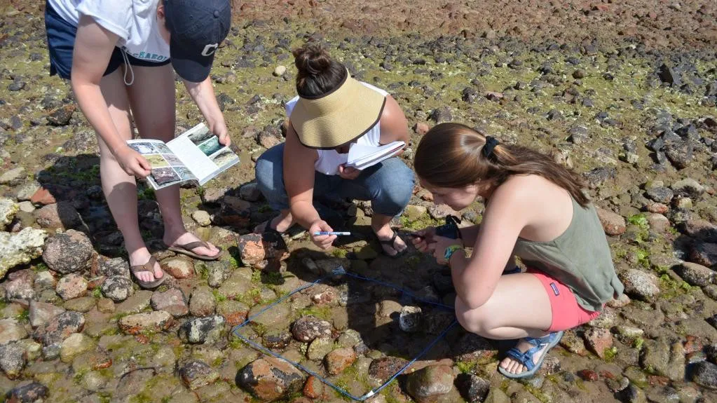 students studying archaeological dig in Amman