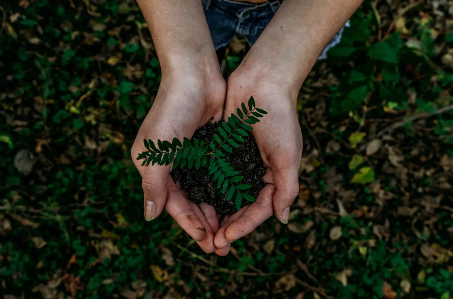Environmental Education and Green Lifestyle​