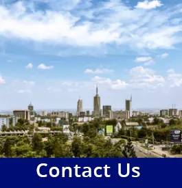 contact 