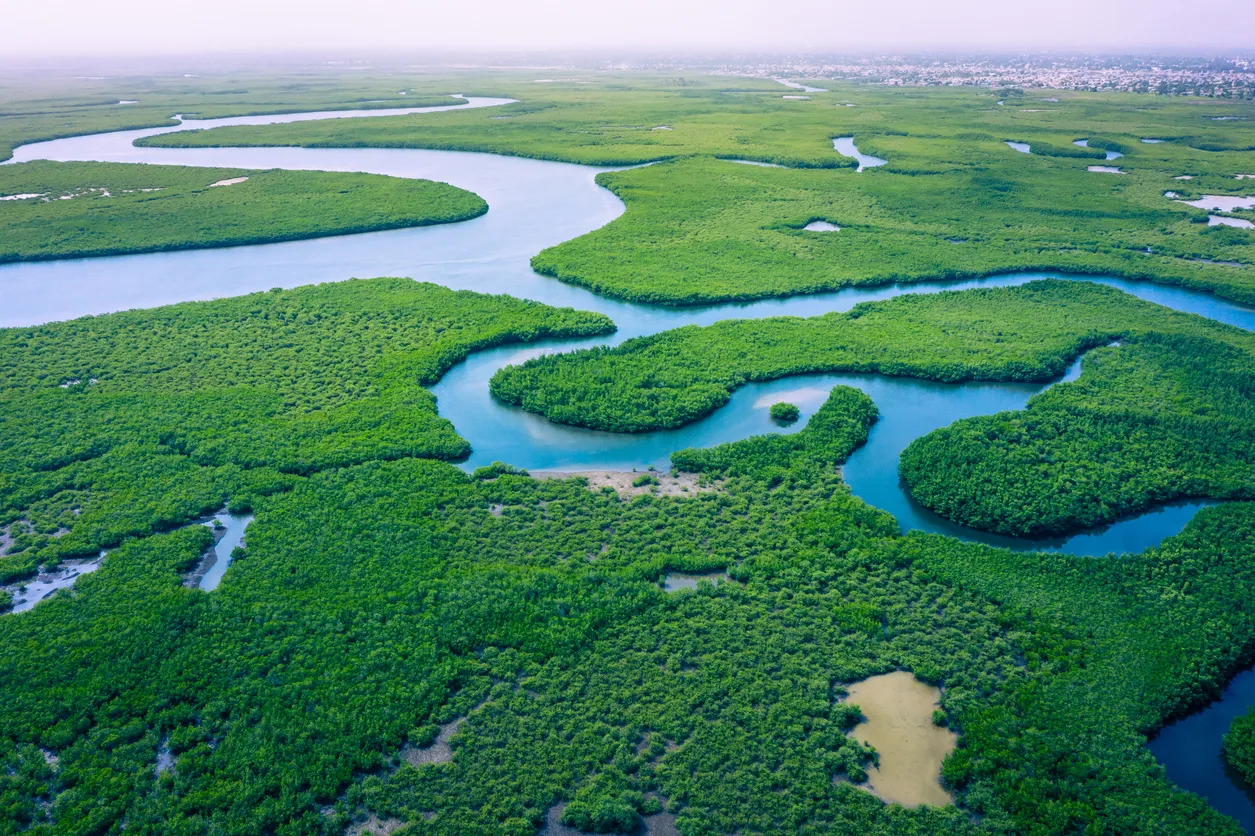 Marshland
