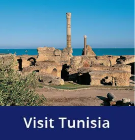 visit
