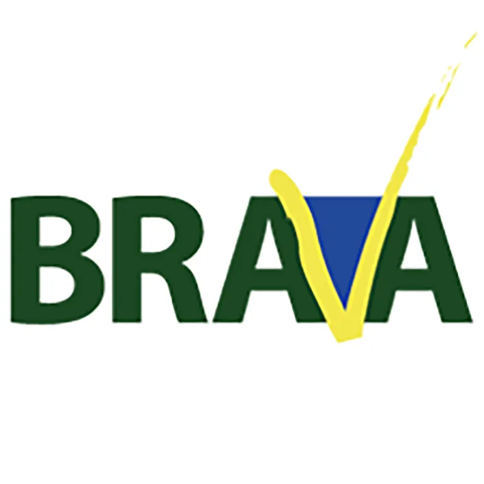 Brava Foundation