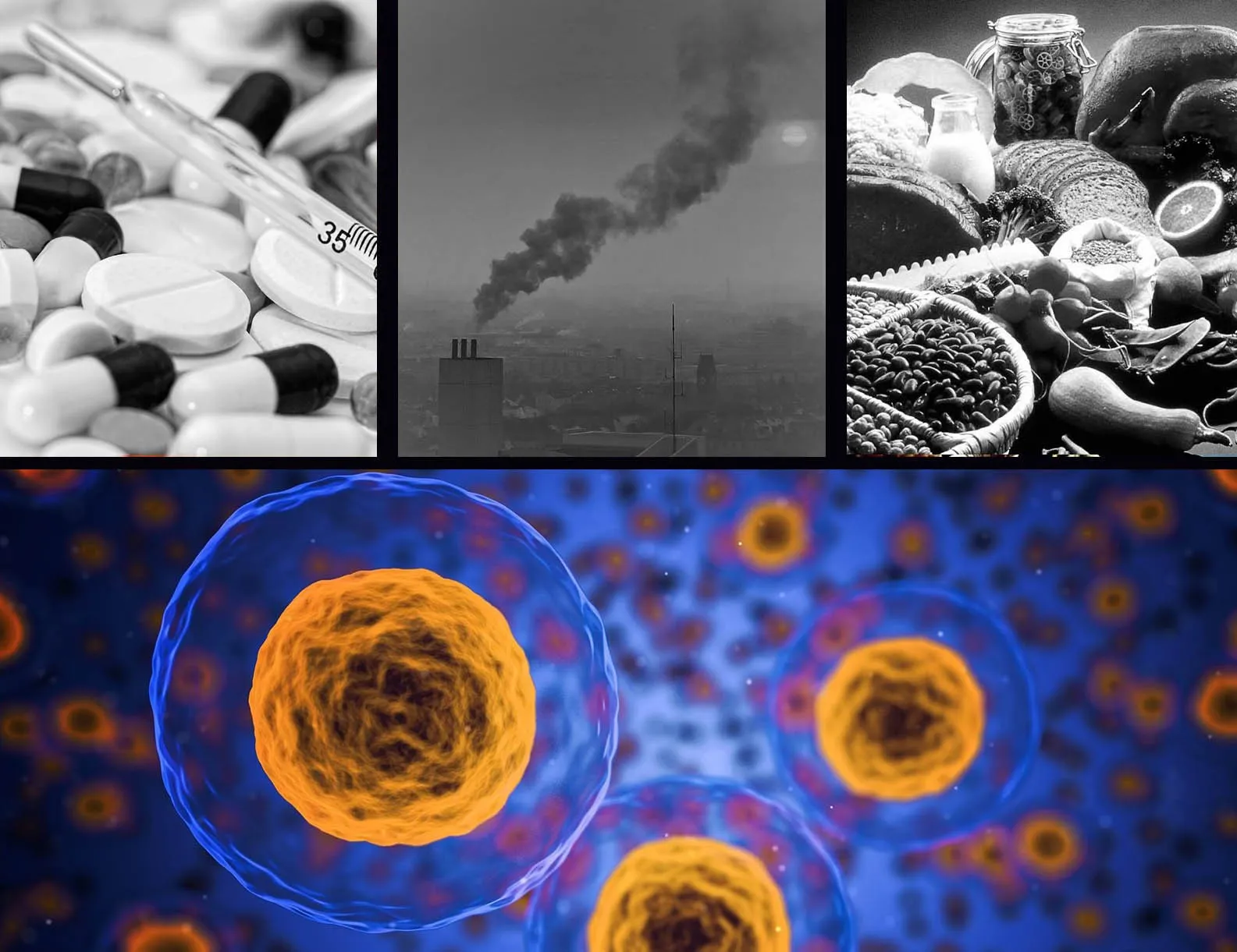 From Genome to Exposome: Environmental Determinants of Global Health