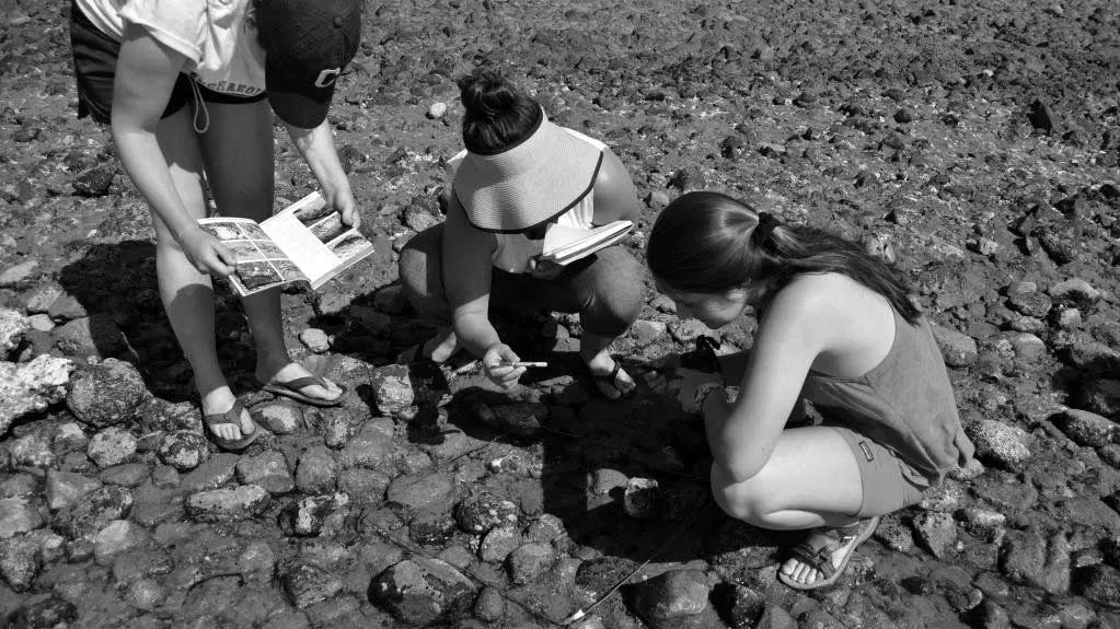 students exploring a riverbed
