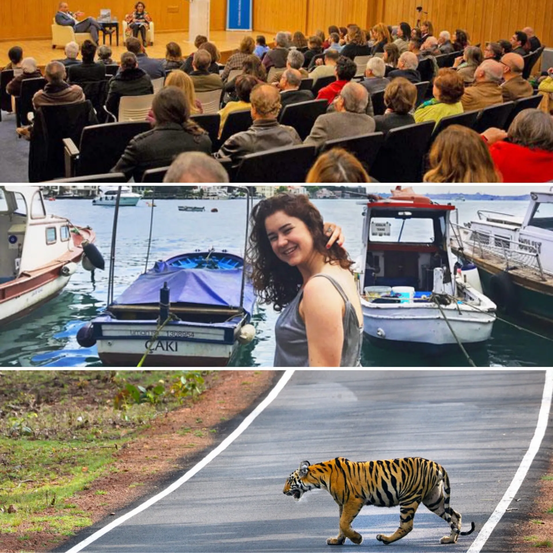 Global Newsletter December 2018