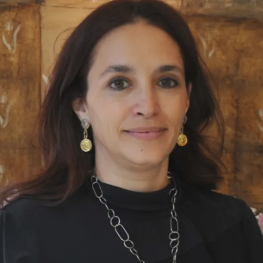 picture of istanbul center director