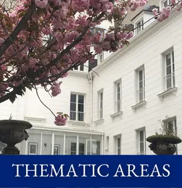 Thematic Areas