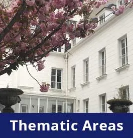 Thematic areas