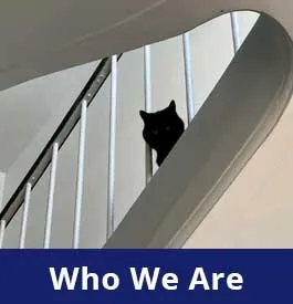 Who we are