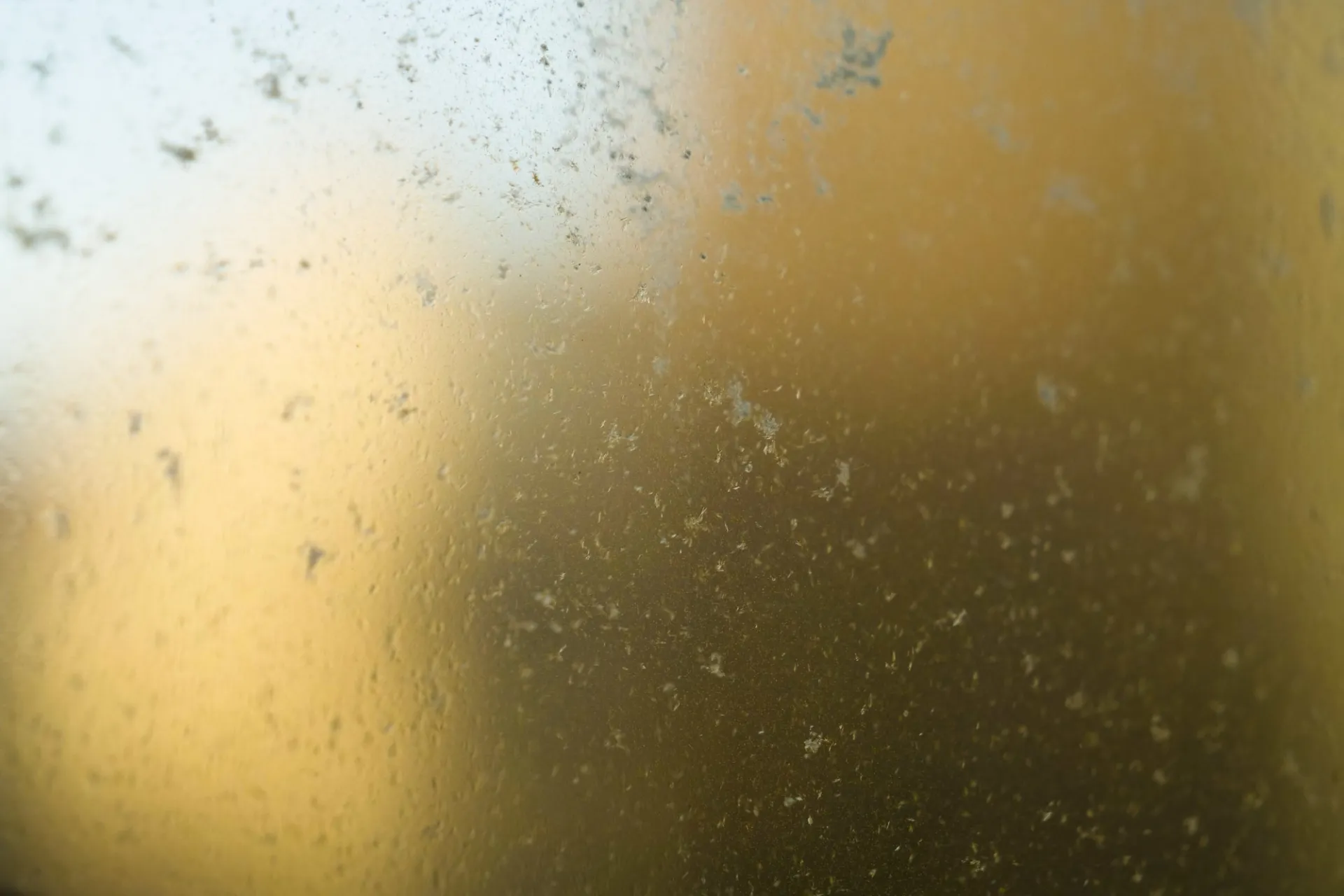 Details: Honey crystallization.