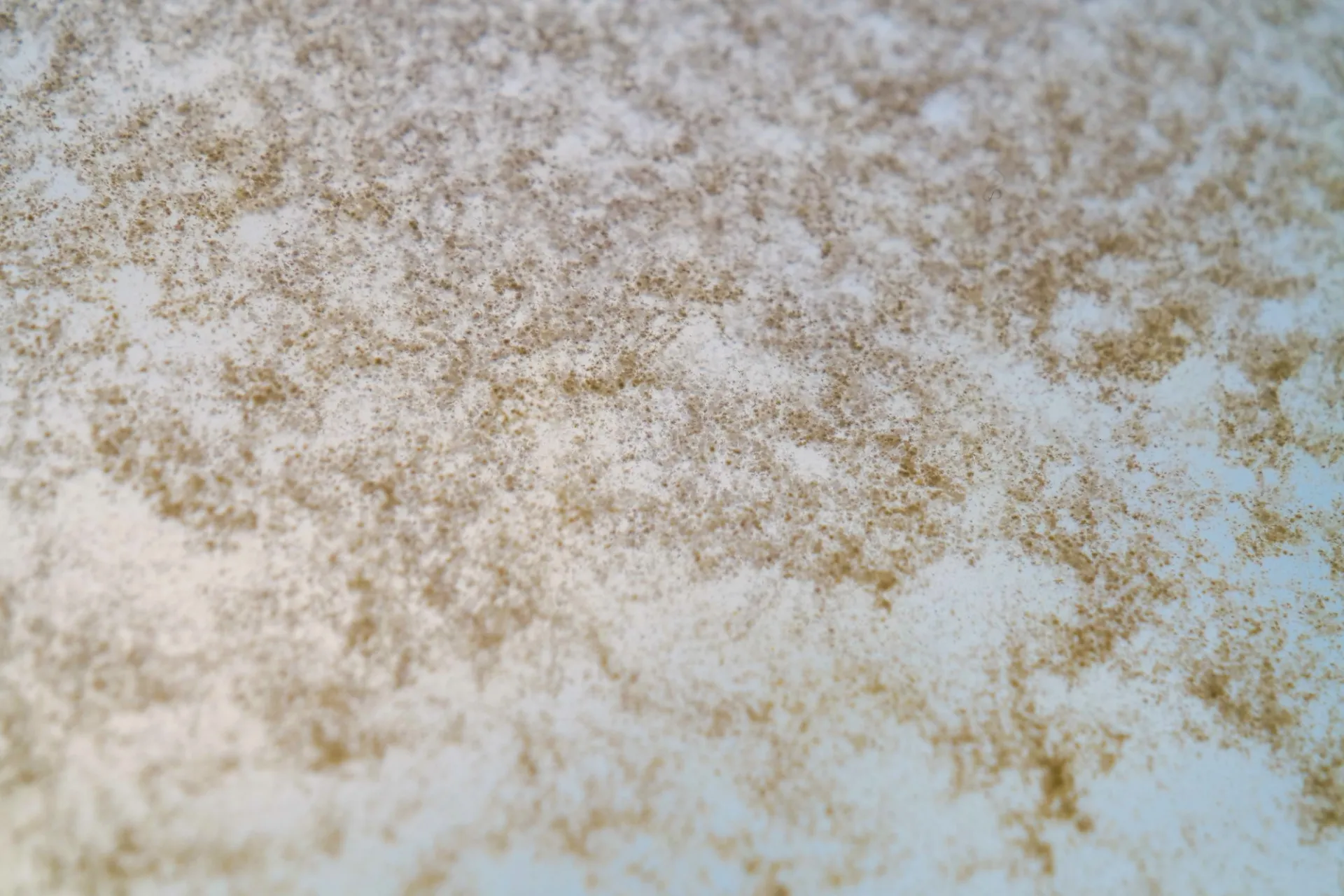 Details: Honey crystallization.