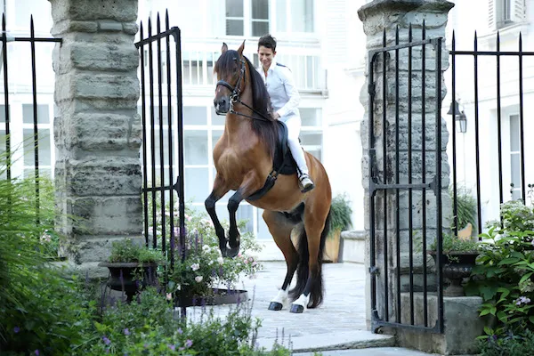 Woman on a horse in the courtyard
