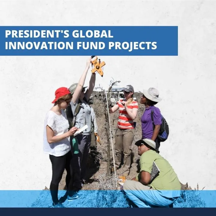President's Global Innovation Fund Project