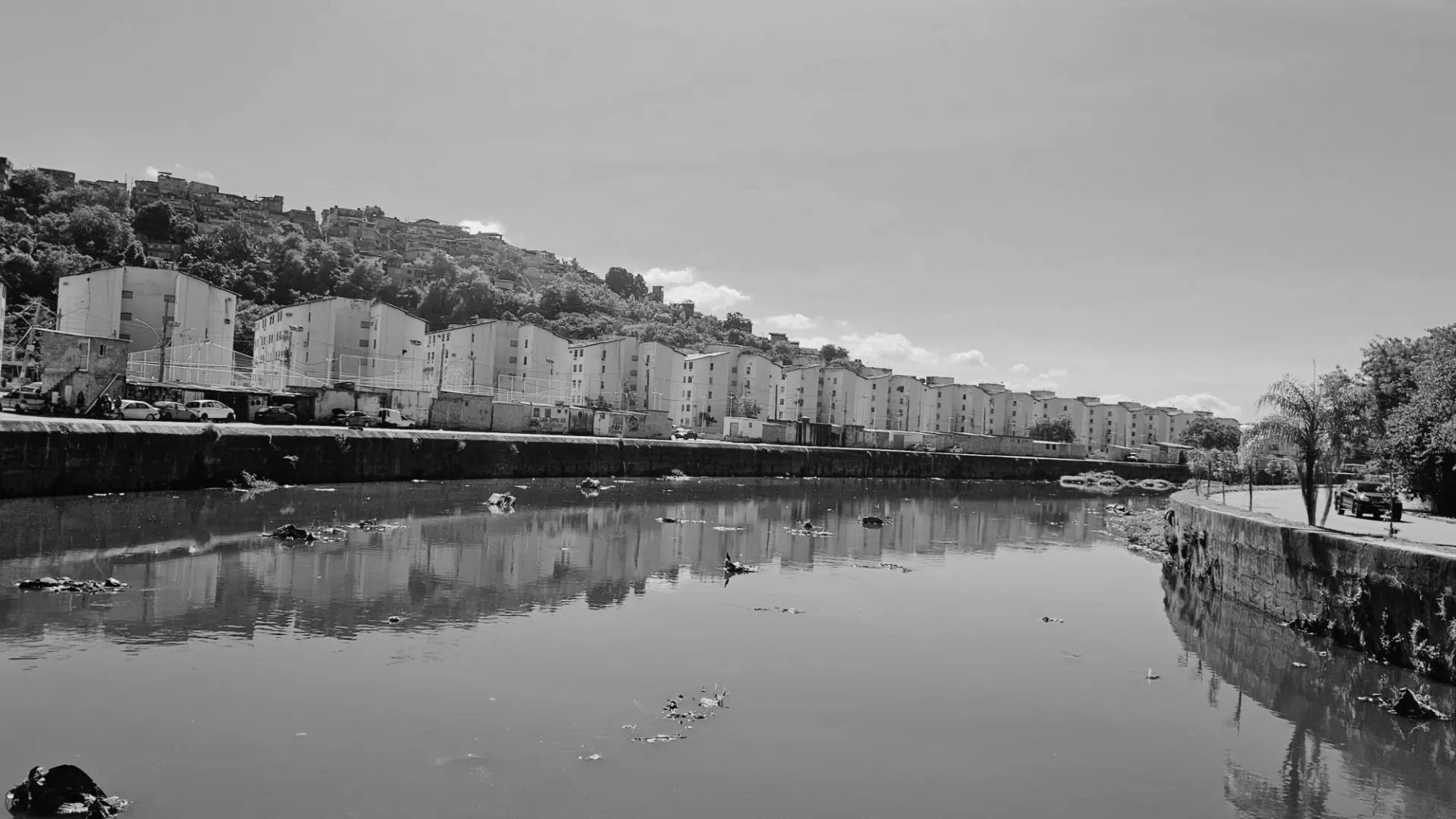 Acari River