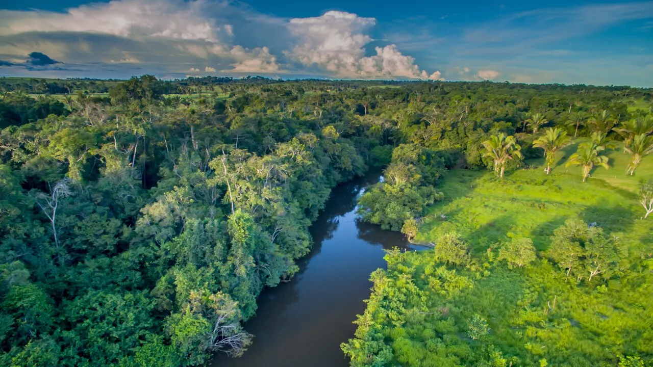 Columbia Global Calls for Proposals to Advance Climate Research in Brazil