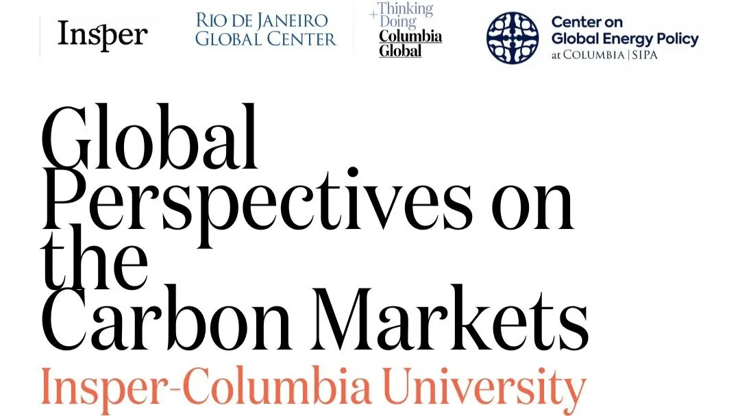 Global perspectives on the carbon markets
