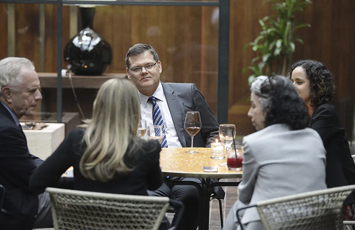 Corporate Governance Structures of Mixed Capital Companies