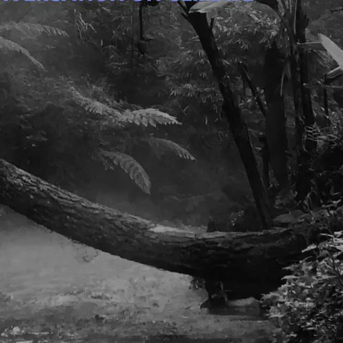 Rio jungle