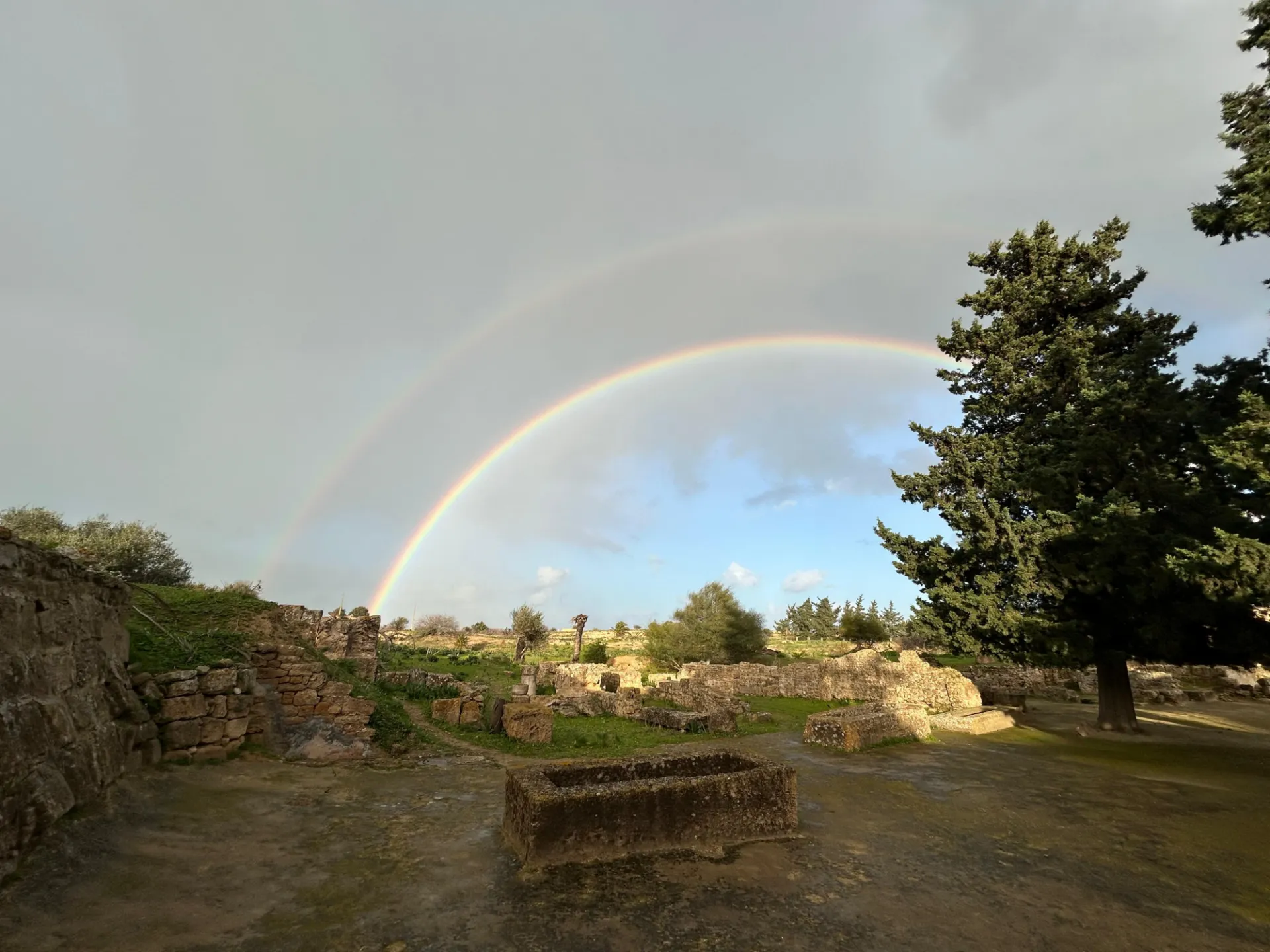 rainb