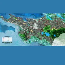 Mangrove Satellite Image