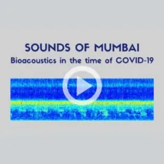 Sounds of Mumbai: Bioacoustics in the time of COVID-19