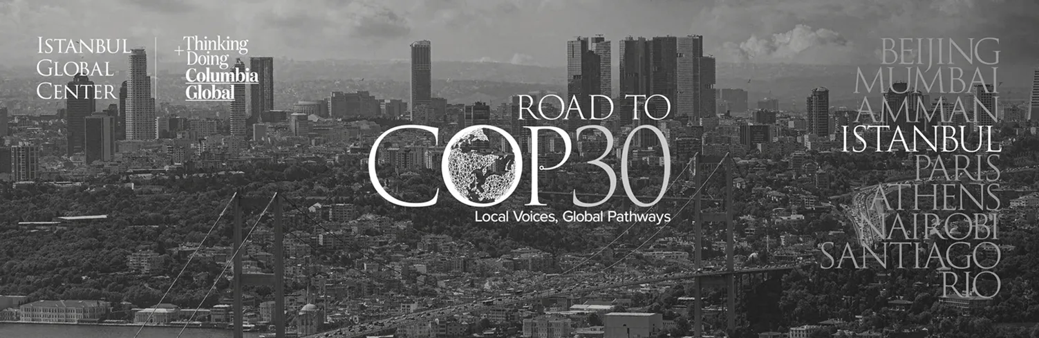 Road to COP30 Istanbul