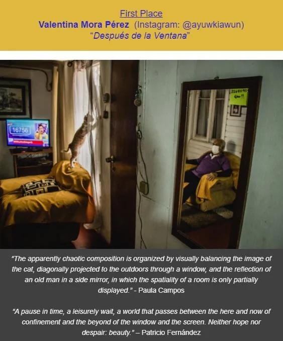 Des-Cubre Renca Photo Contest (Nov 2020)